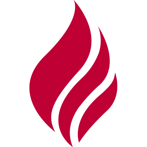 torchbadge Torch